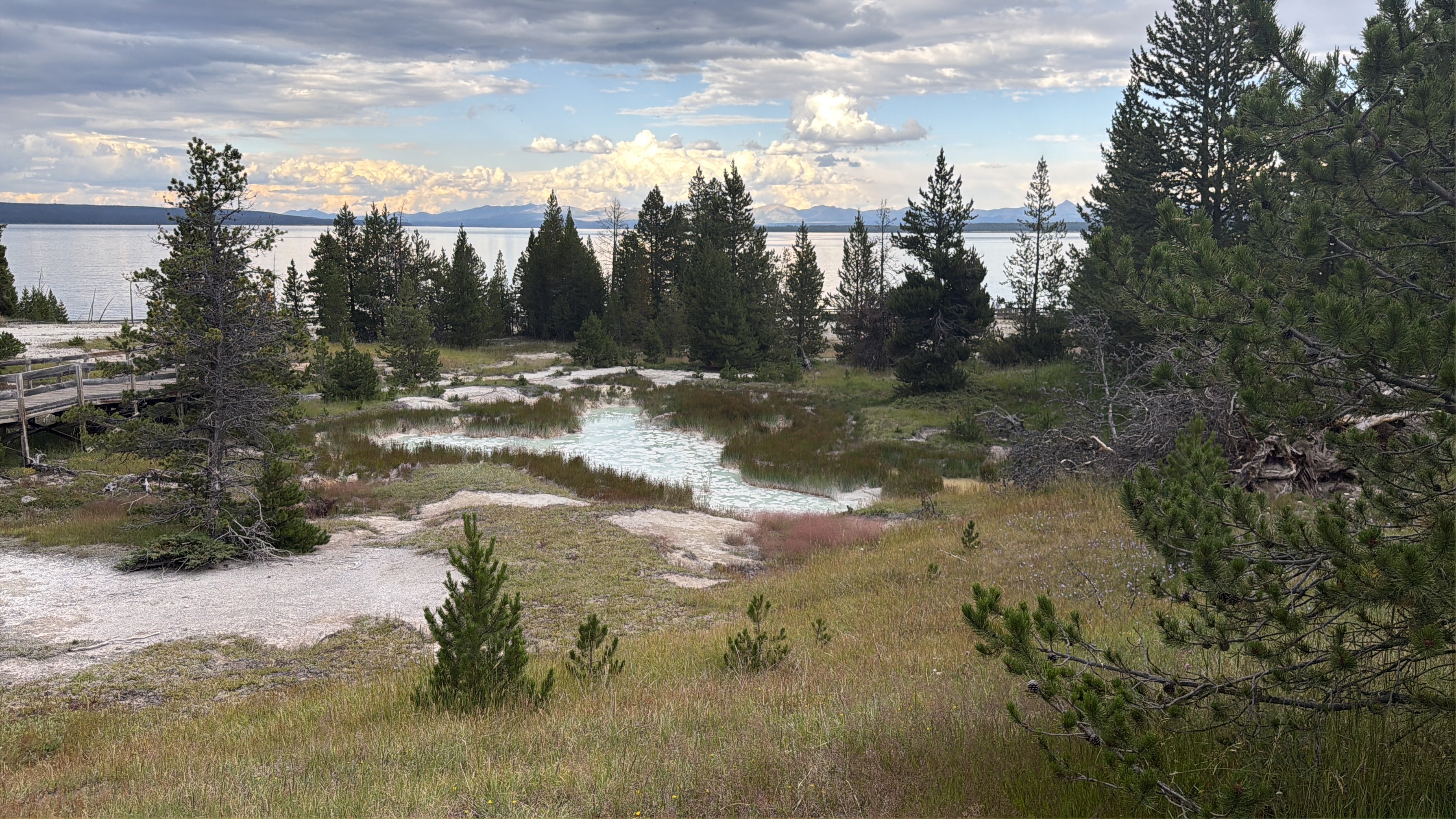 Image: a pond in yellowstone